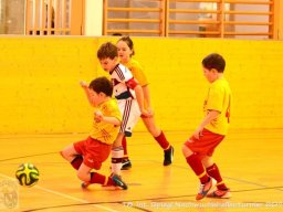 mini-Schlins-U9-Spiegl-DSC_1269